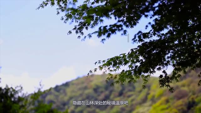 欧洲的旅行